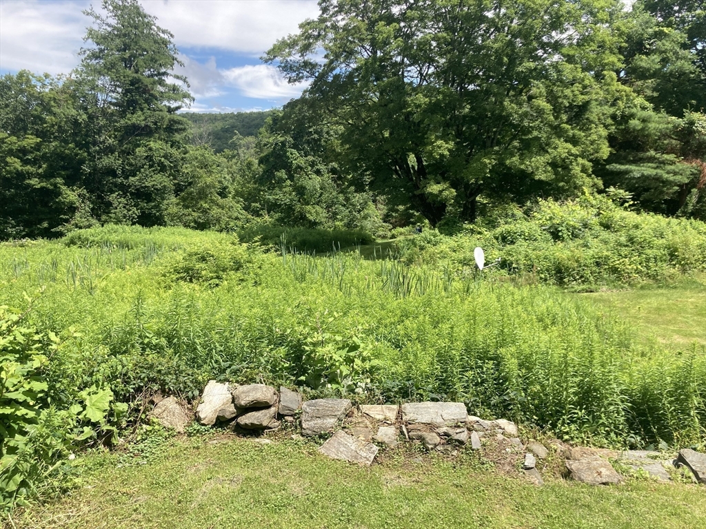 103 East Hawley Road Hawley, MA 01339 - Photo 6 of 34 a backyard of a house with lots of green space