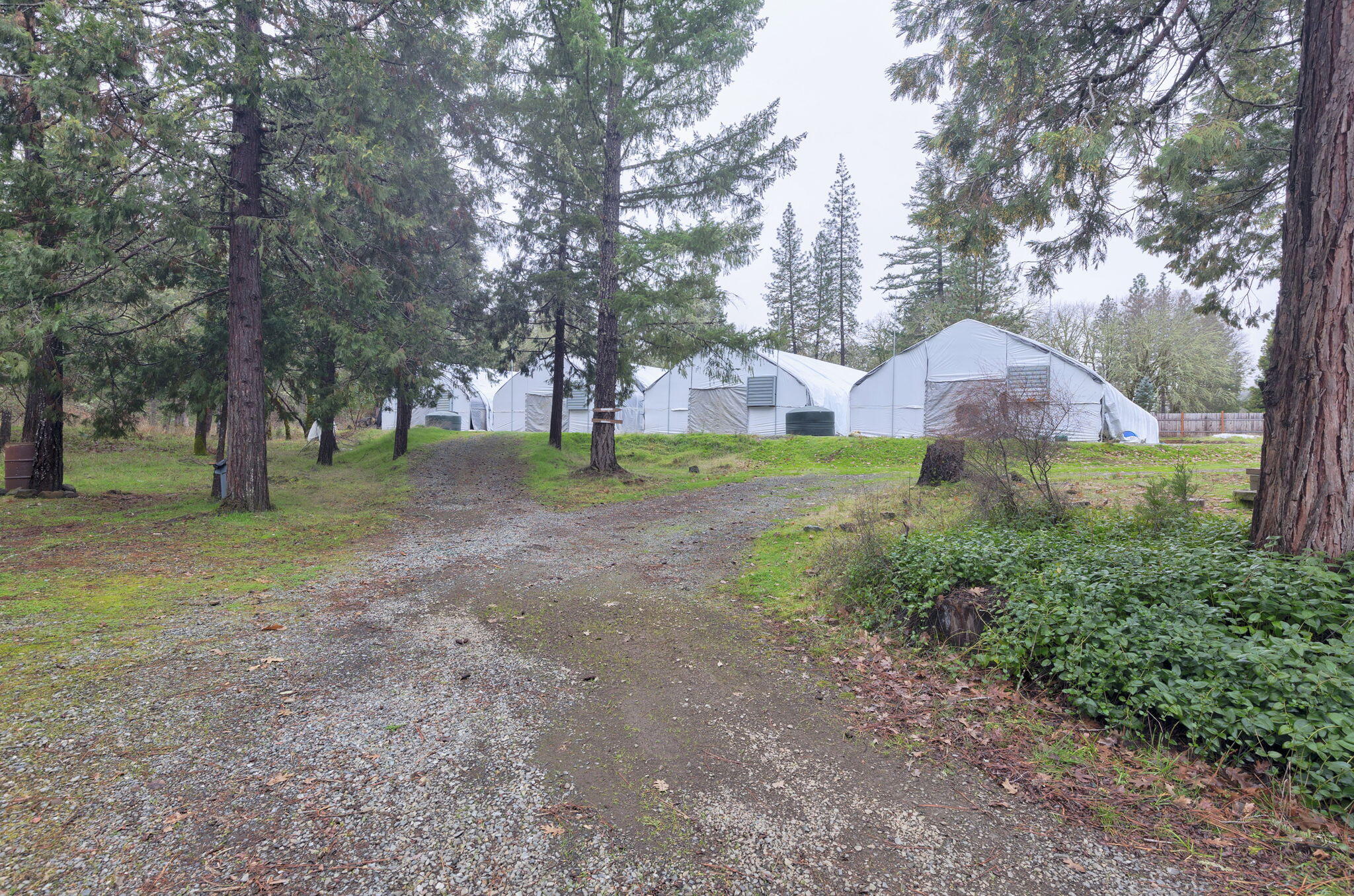 905 Murphy Creek Road Grants Pass, OR 97527 - Photo 30 of 31 29-web-or-mls-905-murphy-creek-rd