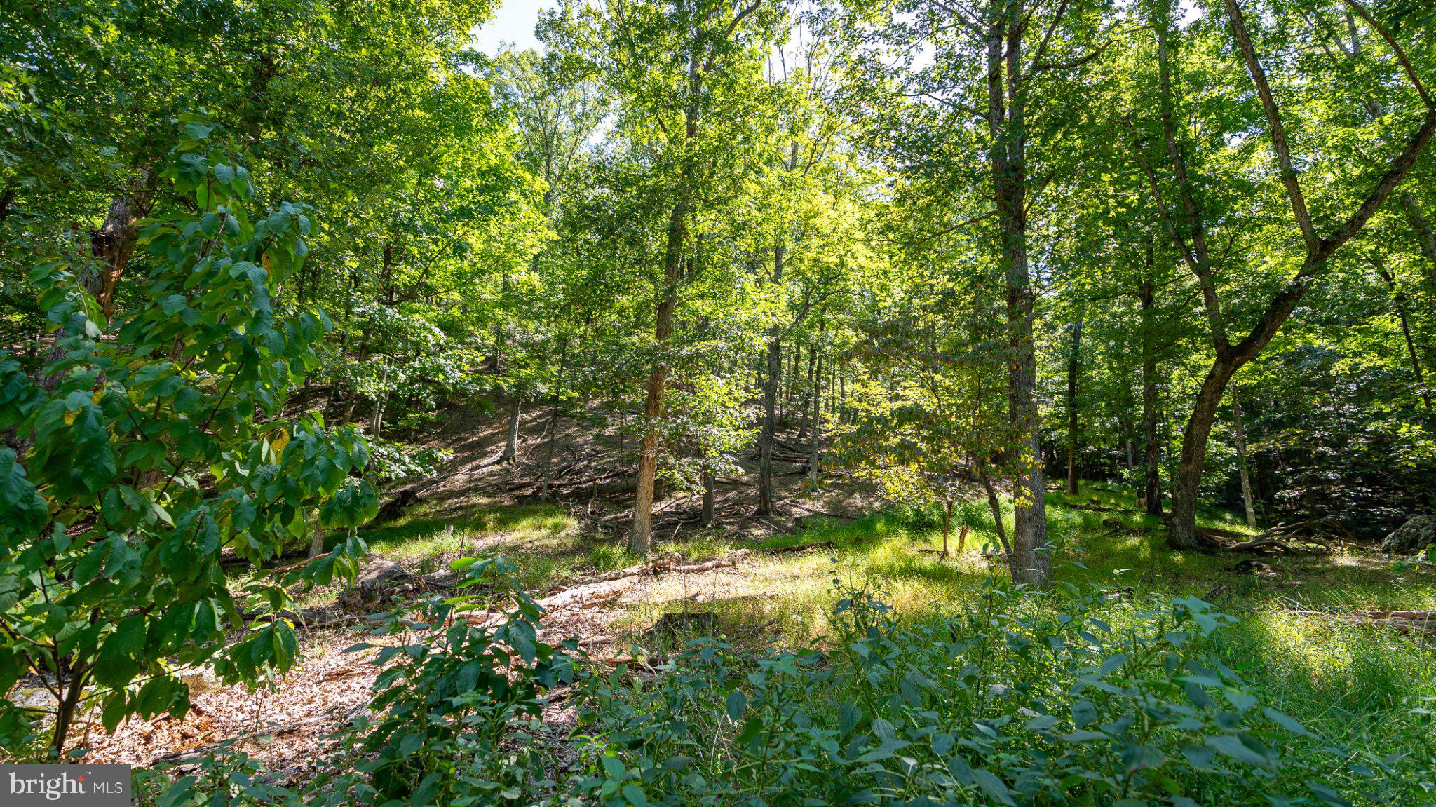 229 Inspiration Road Upper Tract, WV 26866 - Photo 14 of 30 Gallery Image 14