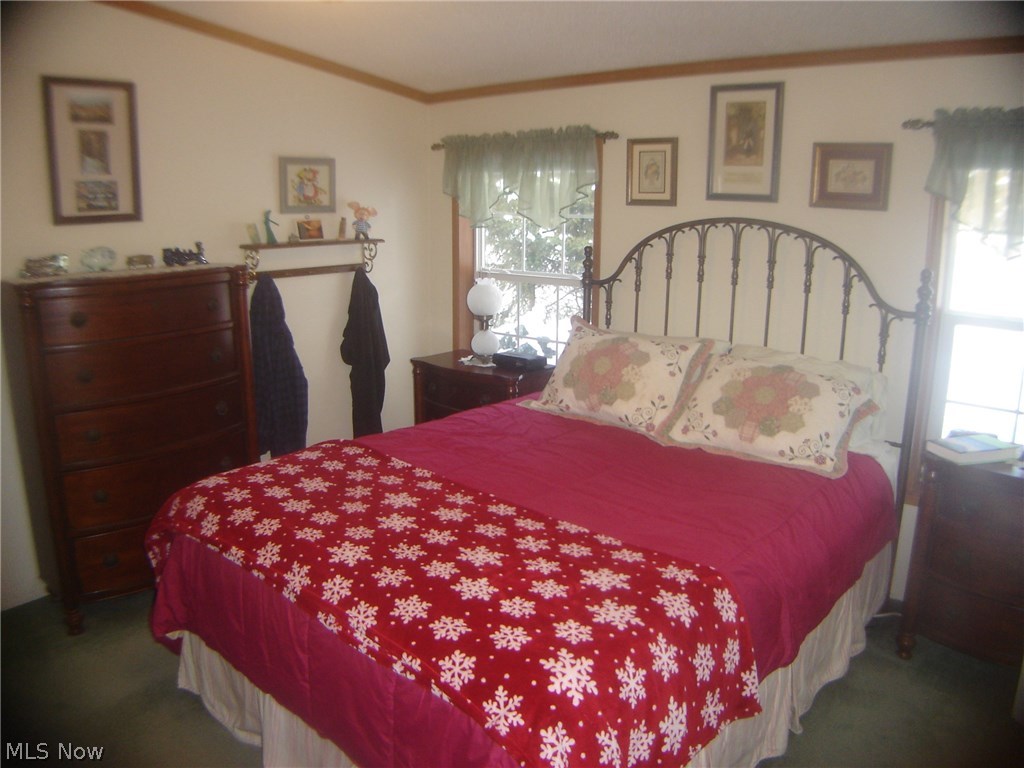 155 Riverside Drive Painesville, OH 44077 - Photo 12 of 34 Gallery Image 12