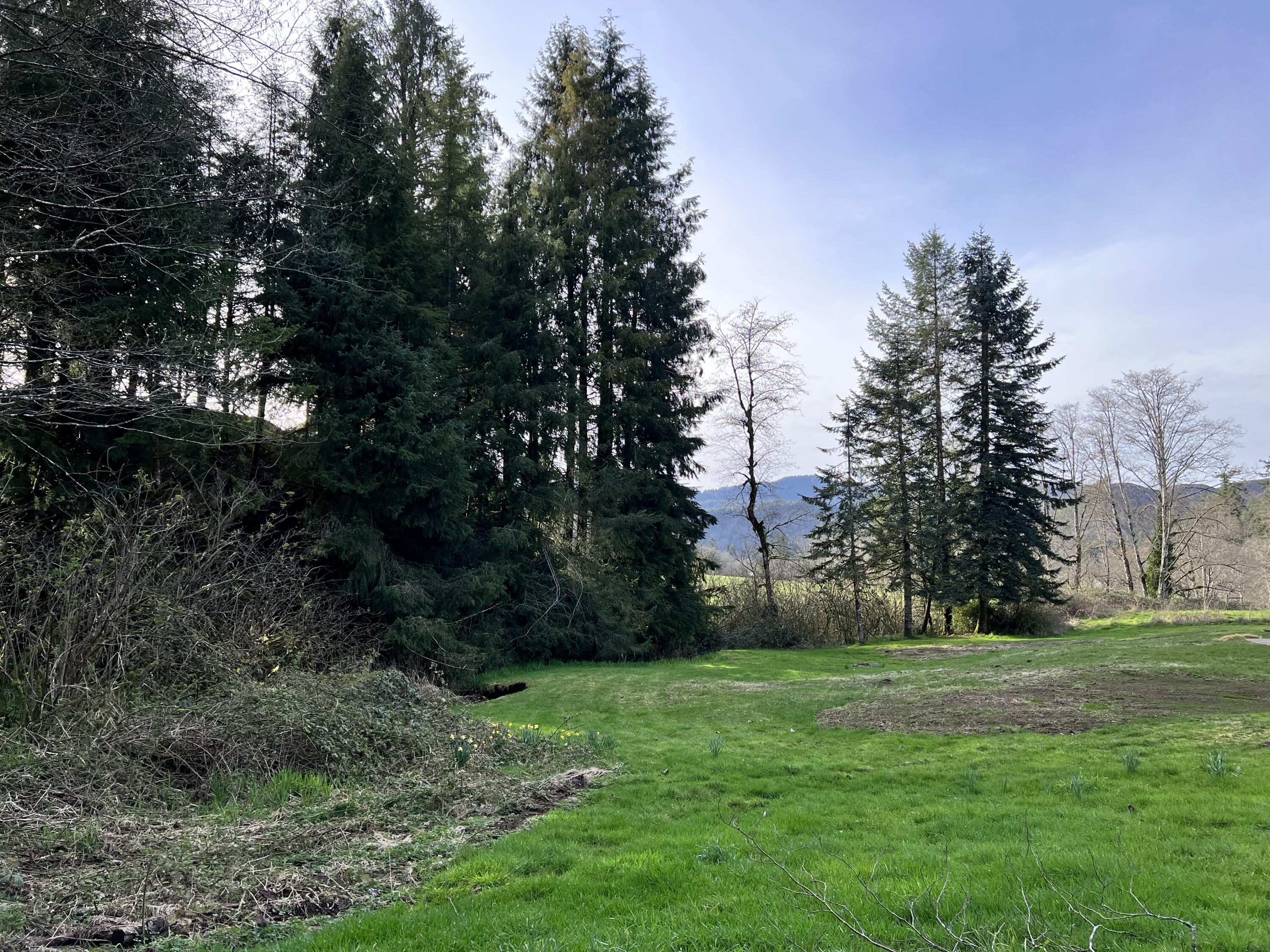 25200 Bixby Road Beaver, OR 97108 - Photo 13 of 34 Backyard