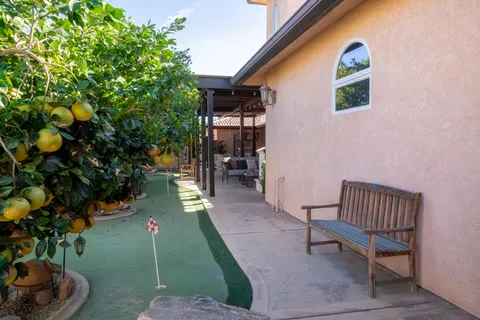 a view of a patio with table and chairs a barbeque with potted plants and large tree