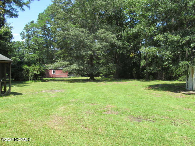 201 Stratford Road Havelock, NC 28532 - Photo 25 of 27 Rear Yard View 1