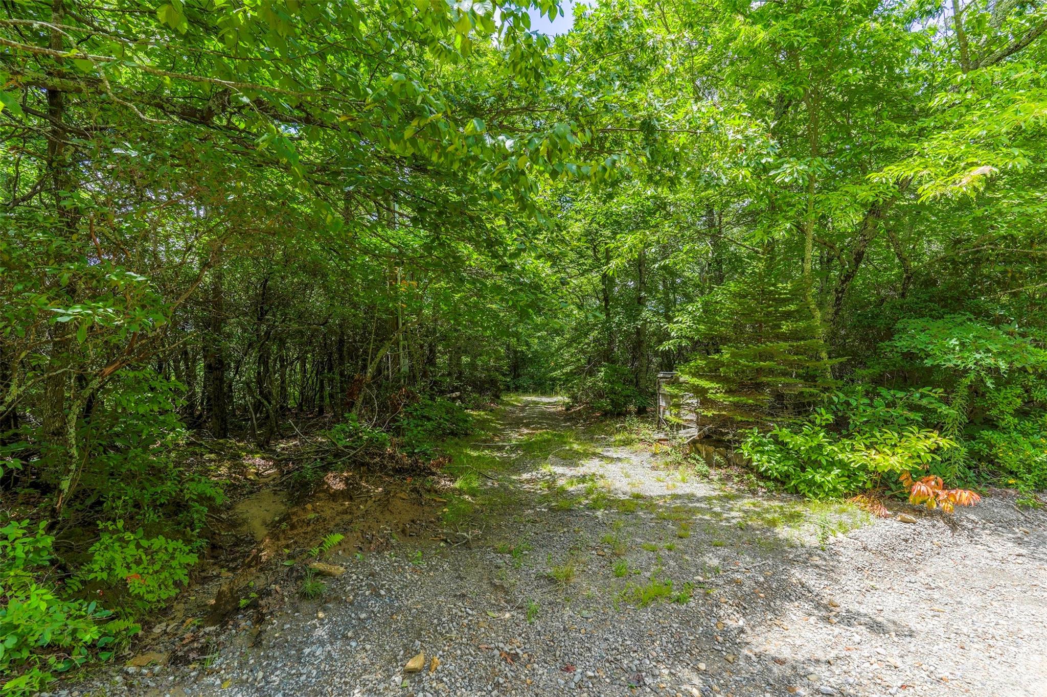 705 Pine Ridge Road, Unit 59 Hendersonville, NC 28792 - Photo 5 of 15 Gallery Image 5
