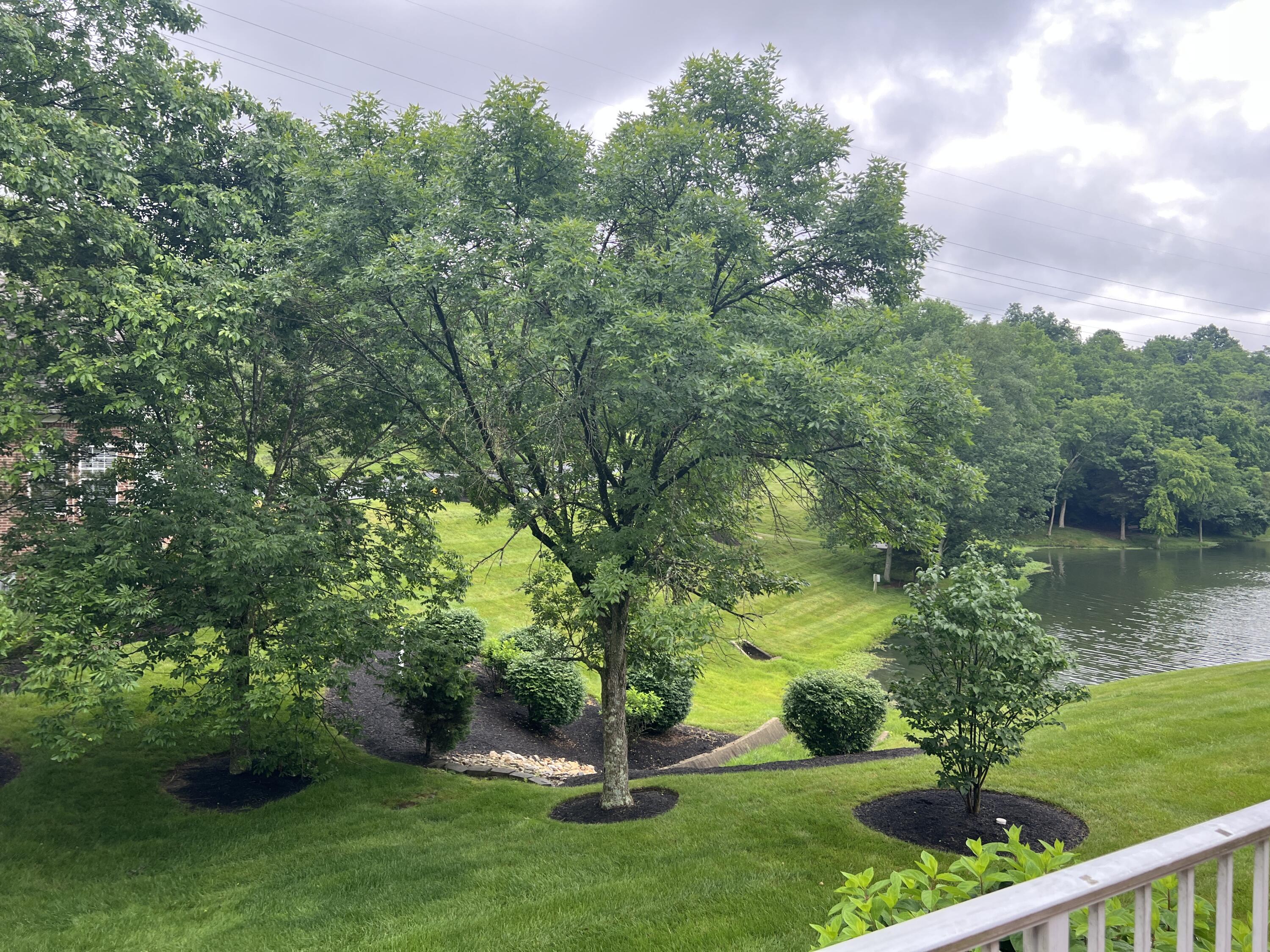 234 Misty Cove Way Cold Spring, KY 41076 - Photo 41 of 44 Gallery Image 41