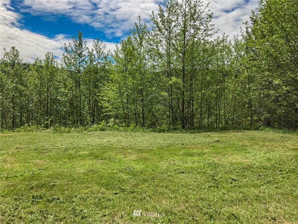 240 Bald Eagle Road Ariel, WA 98603 - Photo 1 of 8 Gallery Image 1