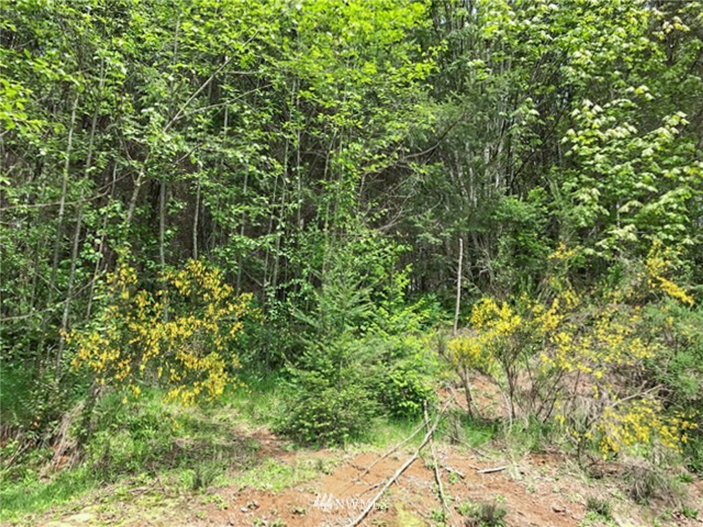 240 Bald Eagle Road Ariel, WA 98603 - Photo 2 of 8 Gallery Image 2