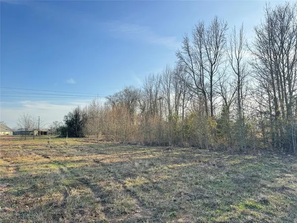a view of a dirt road with trees