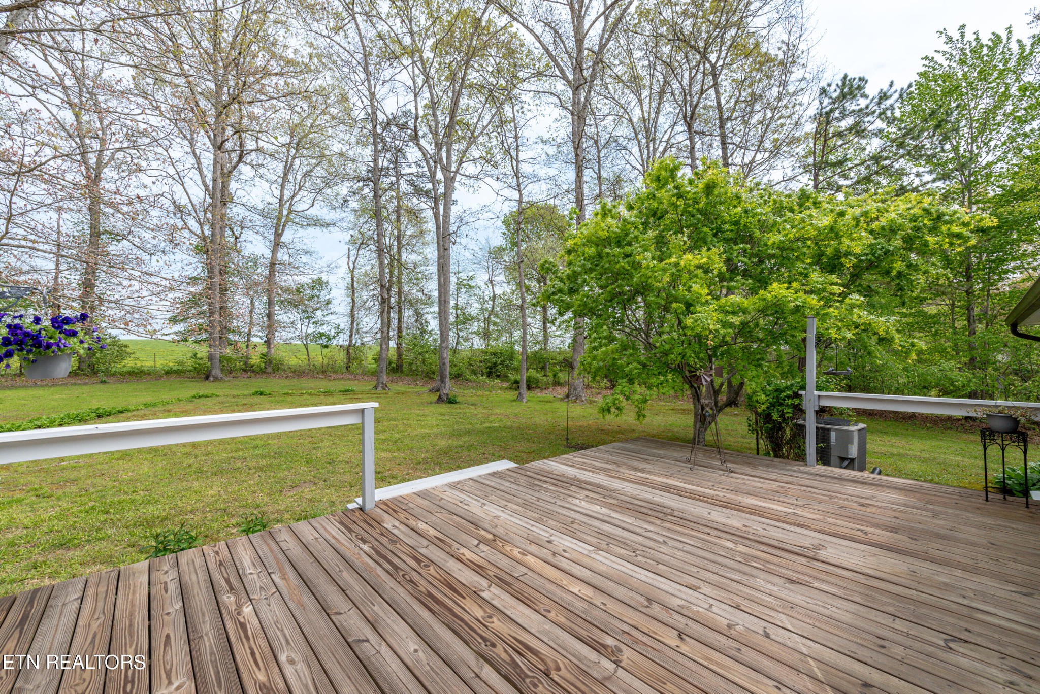 1075 Pine Ridge Lane Clarkrange, TN 38553 - Photo 5 of 48 Gallery Image 5