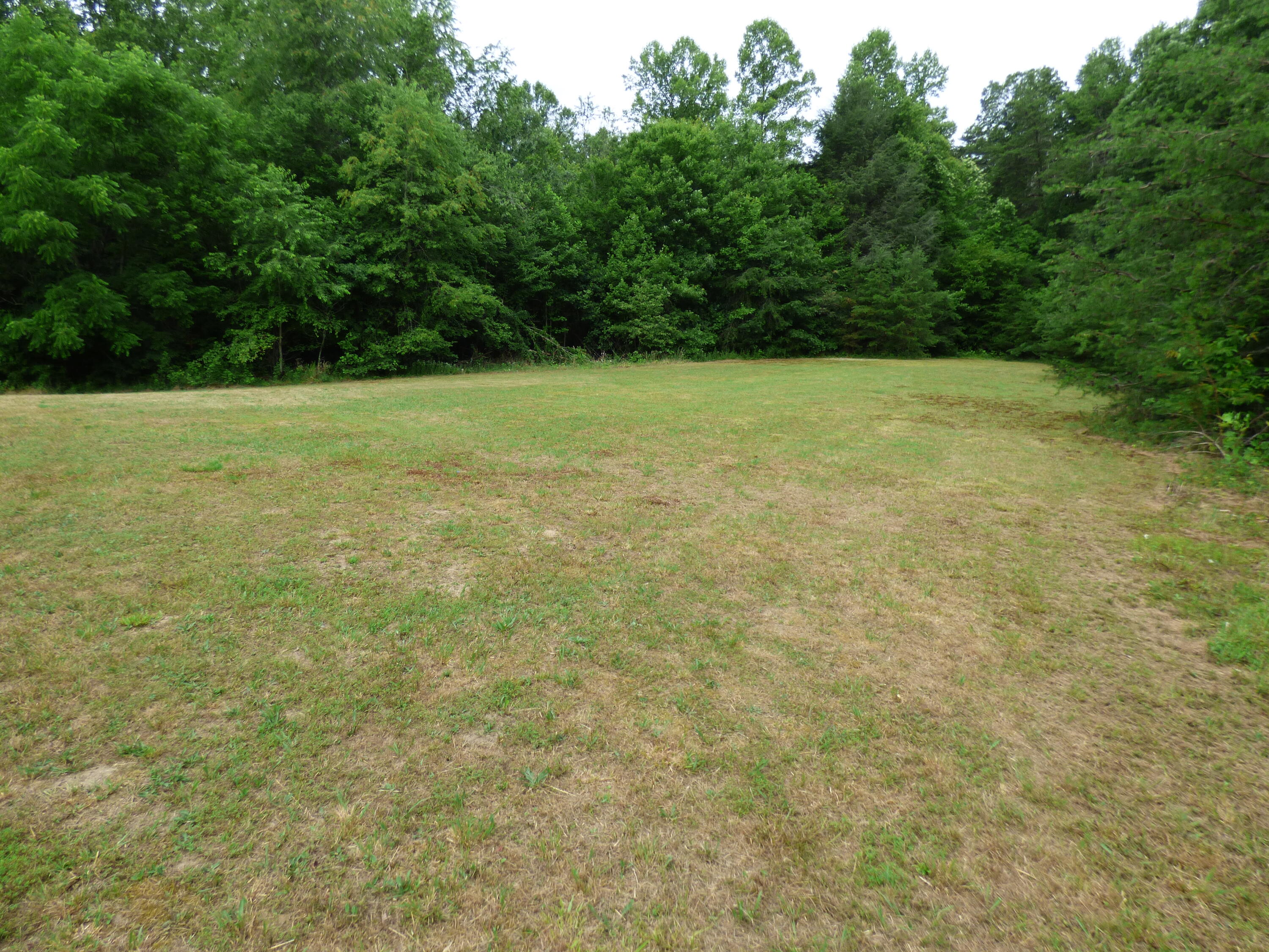 1100 Randolph Road Crossville, TN 38571 - Photo 27 of 32 P1040954