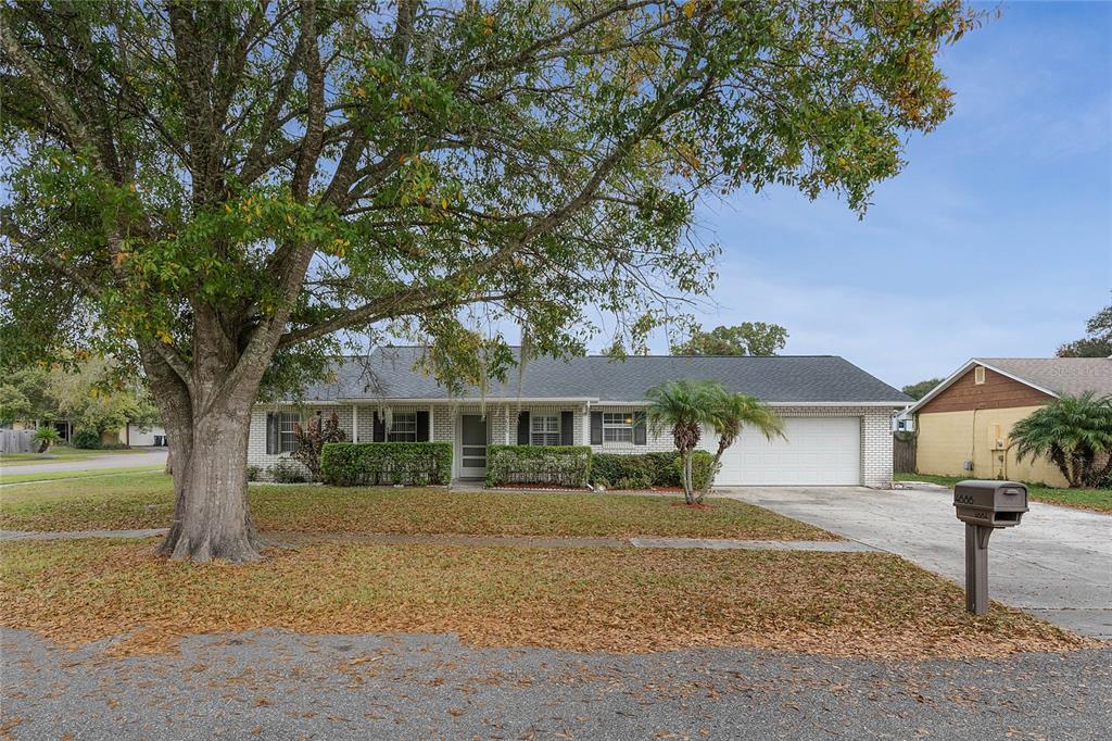 Single story on corner lot