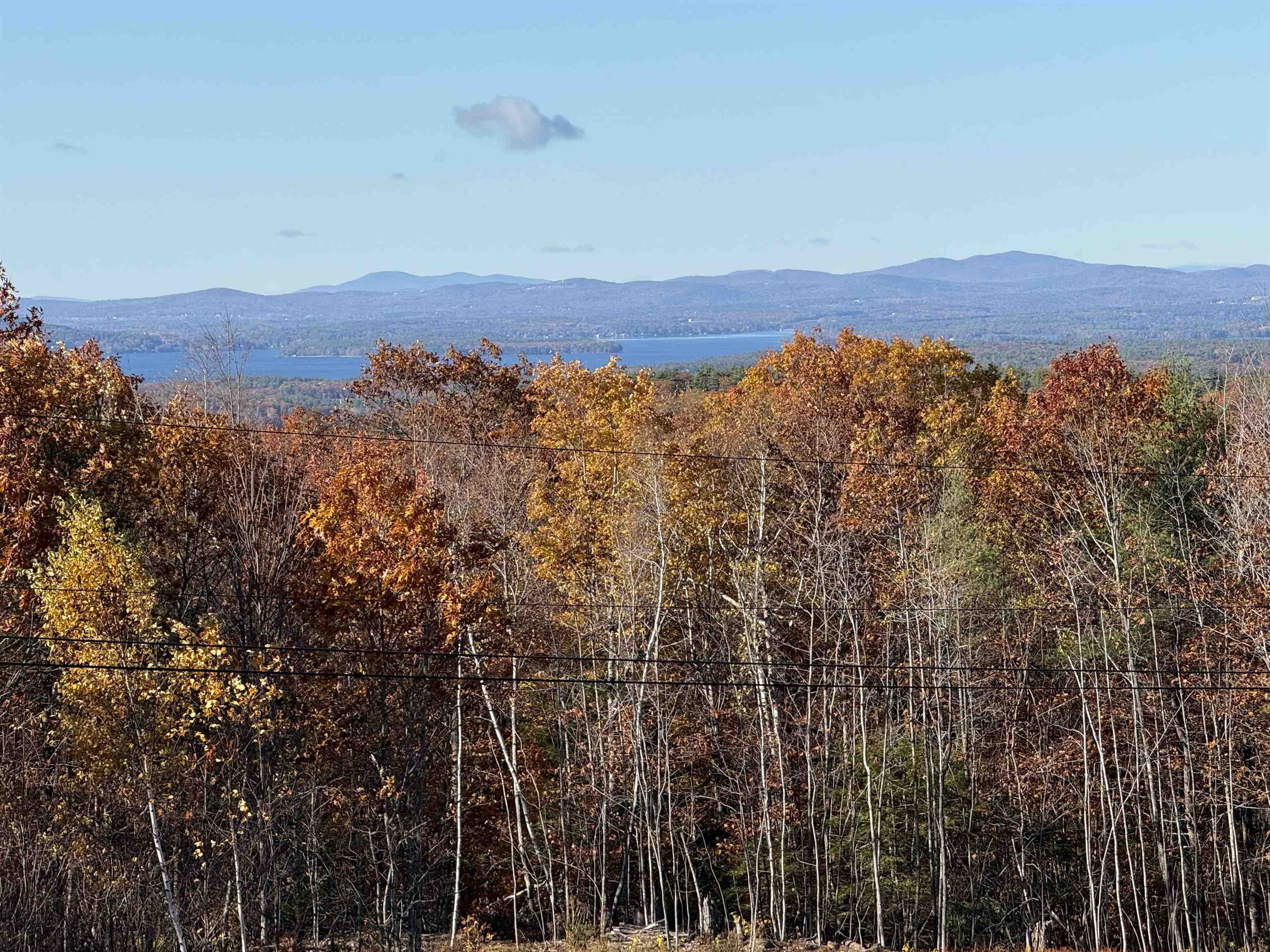 36 Blueberry Hill Road Wolfeboro, NH 03894 - Photo 46 of 59