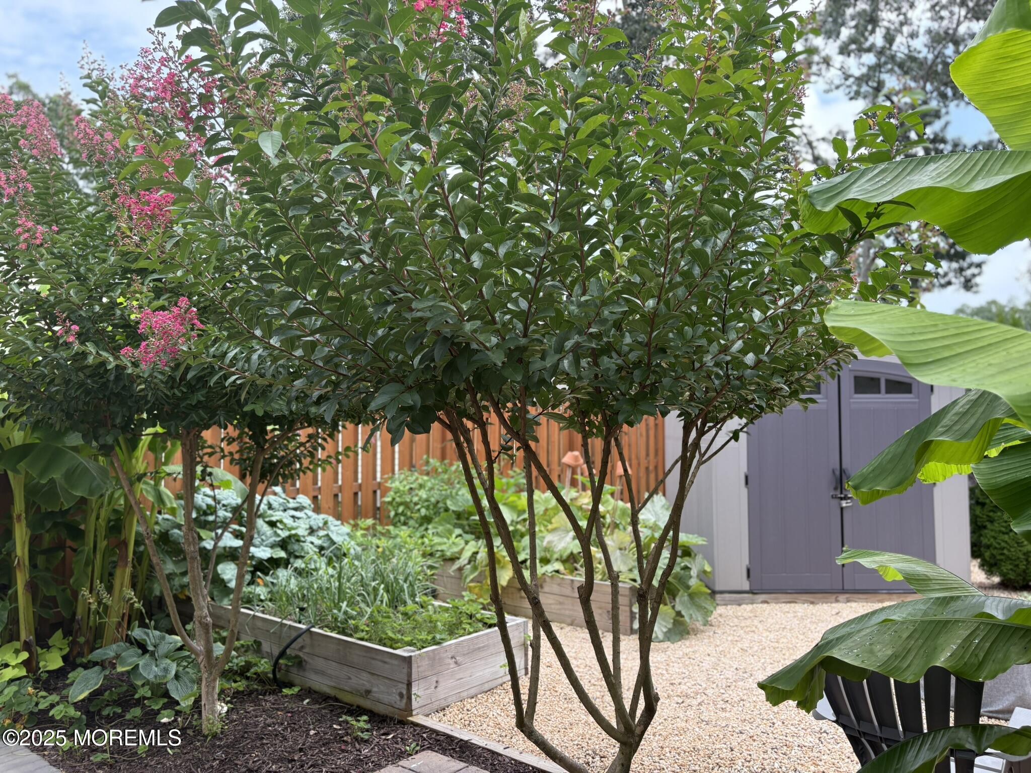 650 Chelsea Street Forked River, NJ 08731 - Photo 32 of 82 IMG_3438