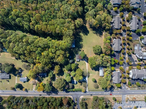 a view of a lake with a tree