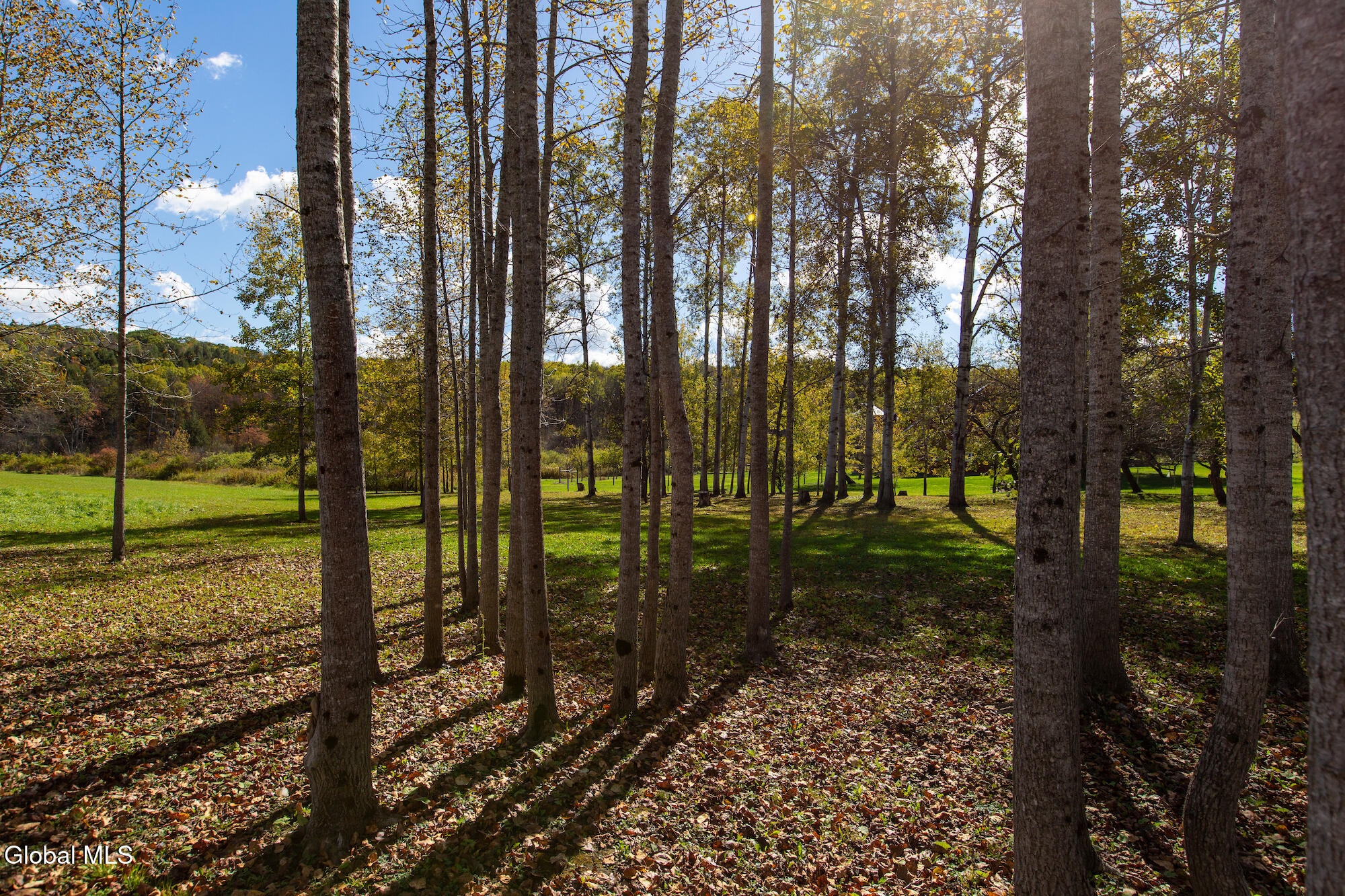 380 Raymond Fish Road Hartwick, NY 13348 - Photo 36 of 50 ESI TMBT 380 Raymond Fish Rd 2025100819