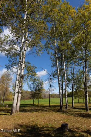 $975,000 | 380 Raymond Fish Road, Hartwick, NY 13348