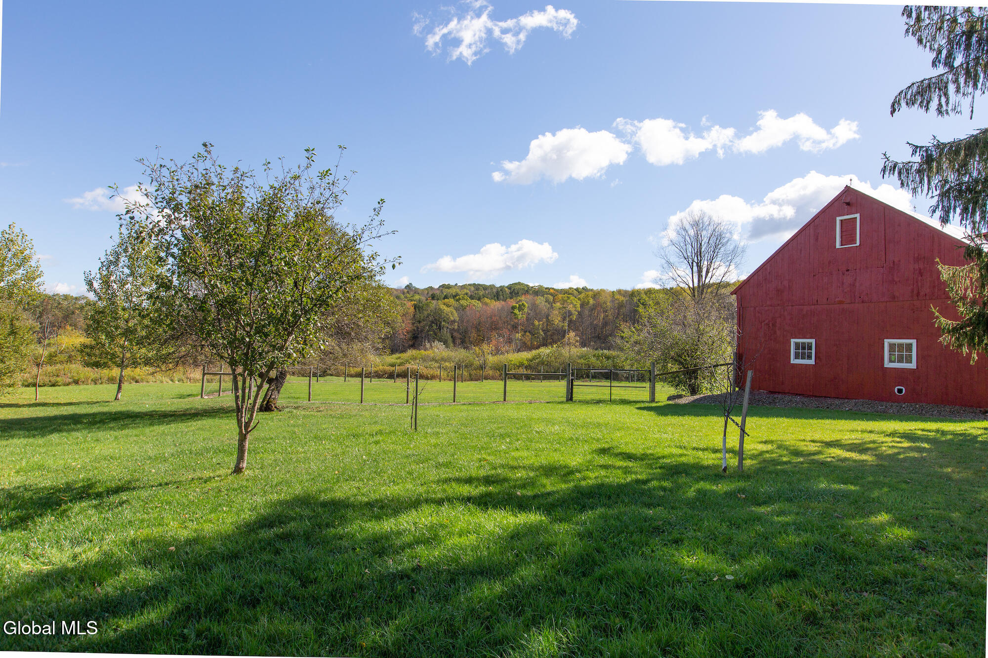 380 Raymond Fish Road Hartwick, NY 13348 - Photo 41 of 50 ESI TMBT 380 Raymond Fish Rd 2025100814