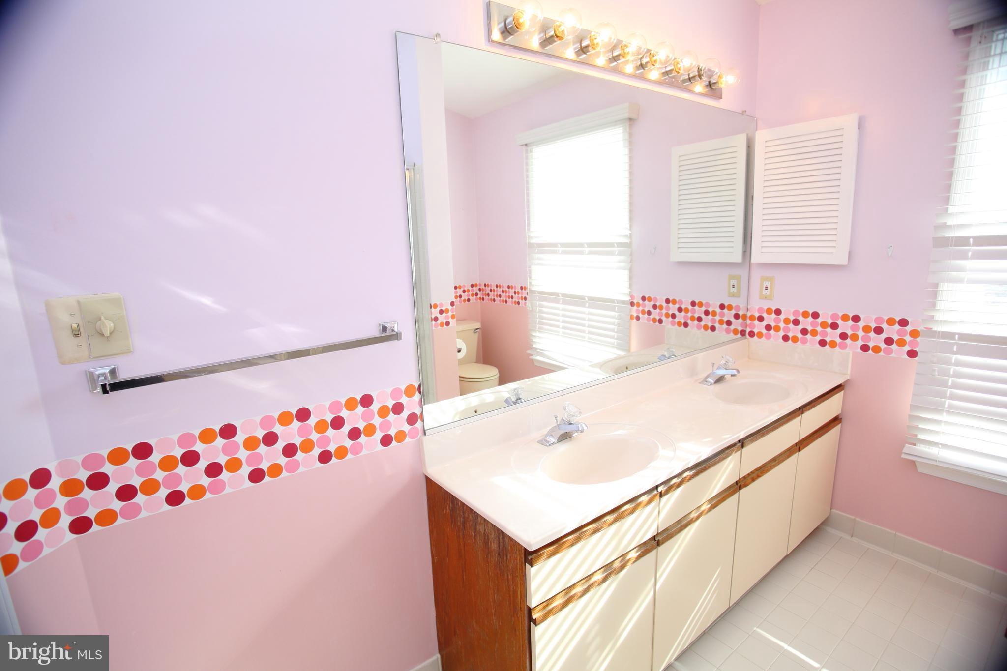 46903 Rabbitrun Terrace Sterling, VA 20164 - Photo 13 of 30 Bath (Master)