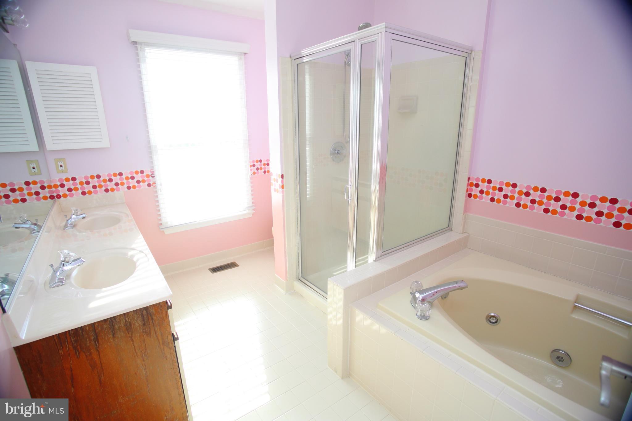 46903 Rabbitrun Terrace Sterling, VA 20164 - Photo 14 of 30 Bath (Master)