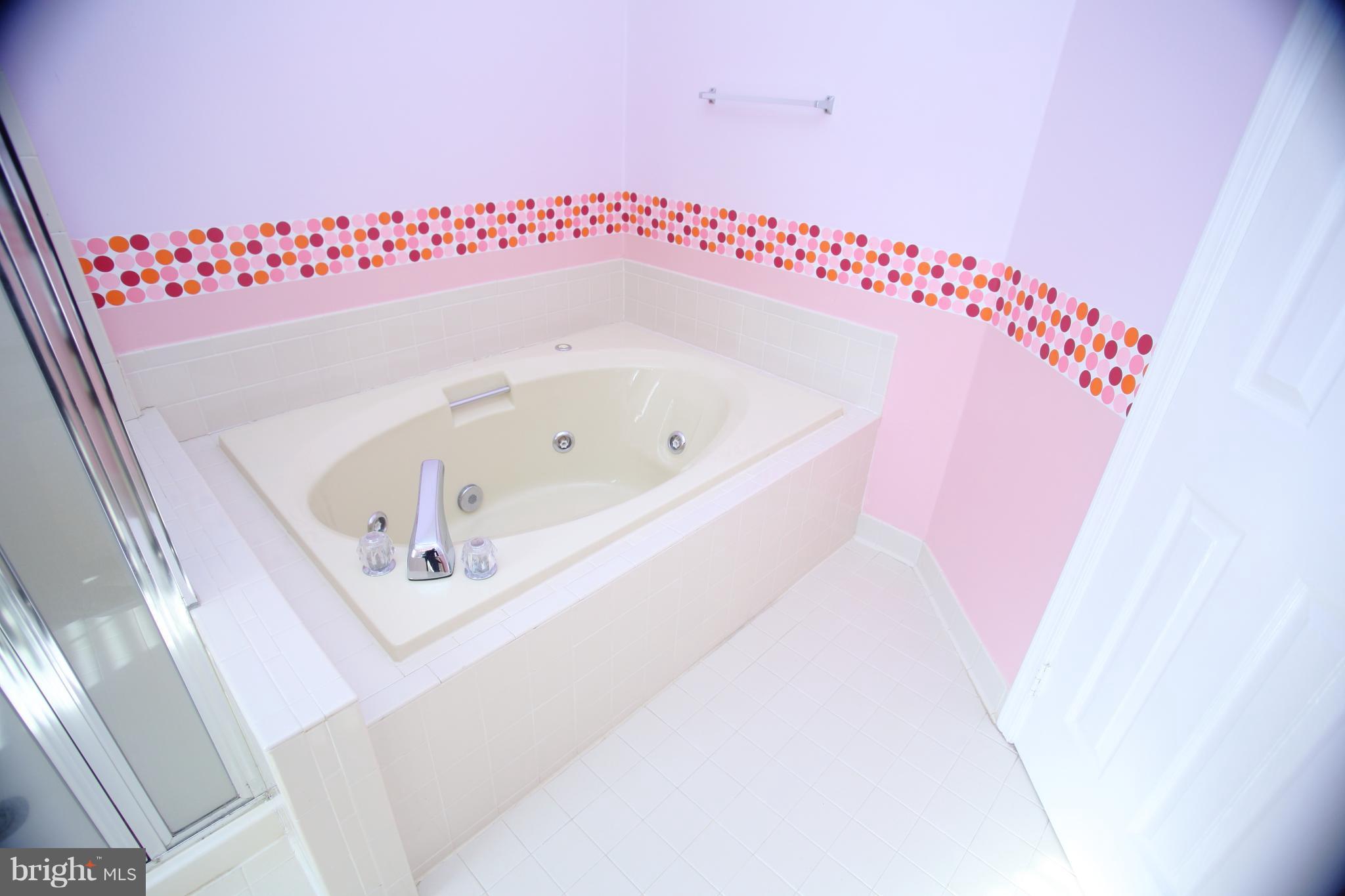 46903 Rabbitrun Terrace Sterling, VA 20164 - Photo 15 of 30 Bath (Master)