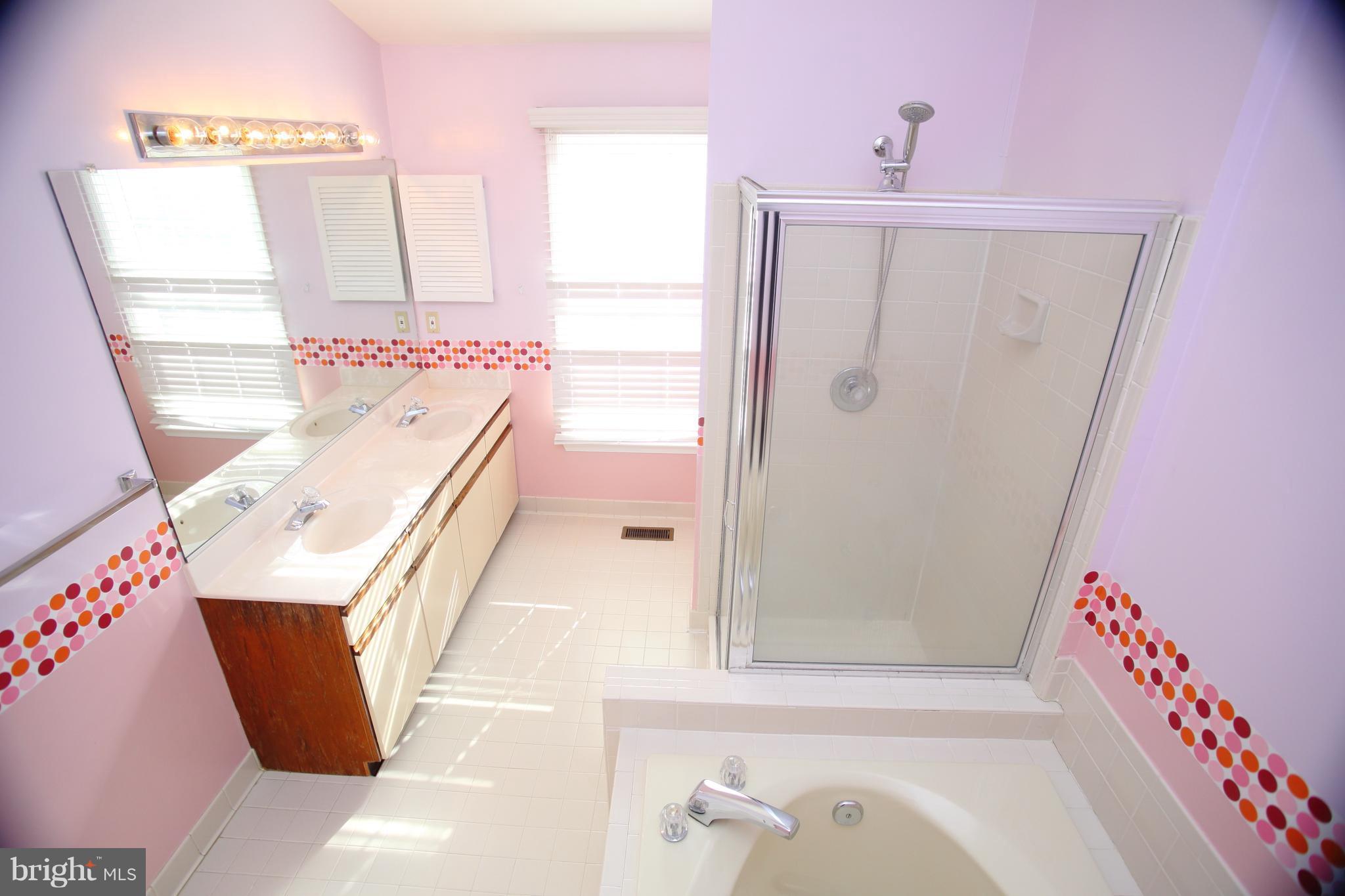 46903 Rabbitrun Terrace Sterling, VA 20164 - Photo 18 of 30 Bath (Master)