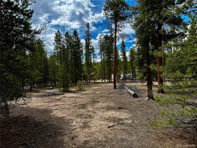a view of road with trees