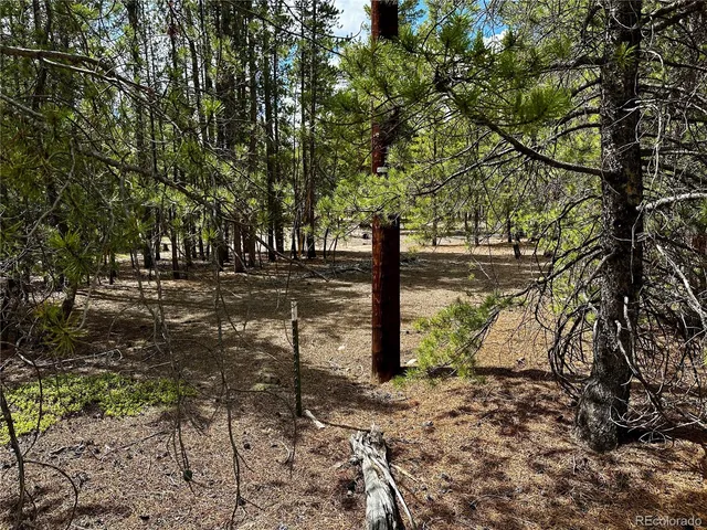 a view of a yard with trees