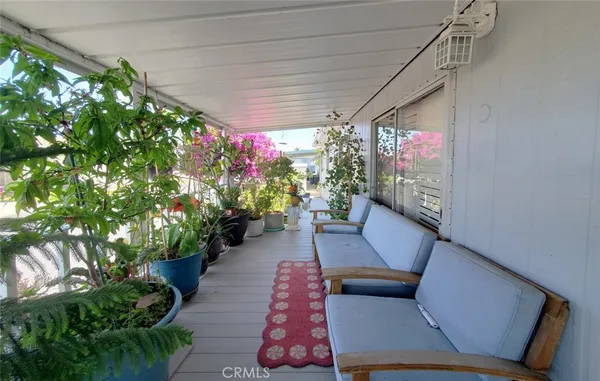 a outdoor space with lots of potted plants