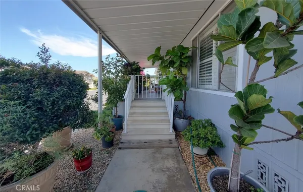 a view of a pathway with potted plants