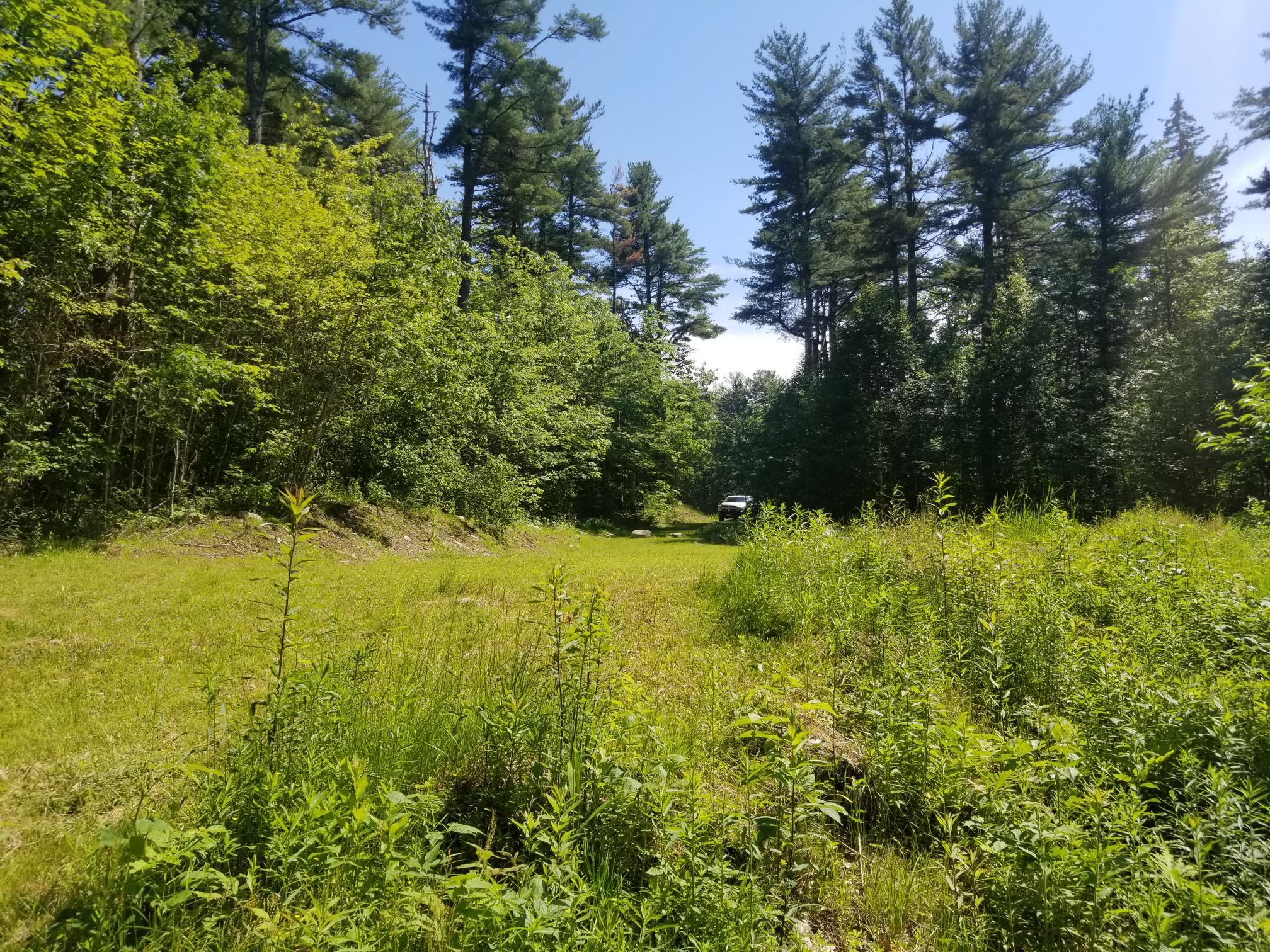374 Lower Round Pond Road Bristol, ME 04539 - Photo 2 of 12 20190627_144309