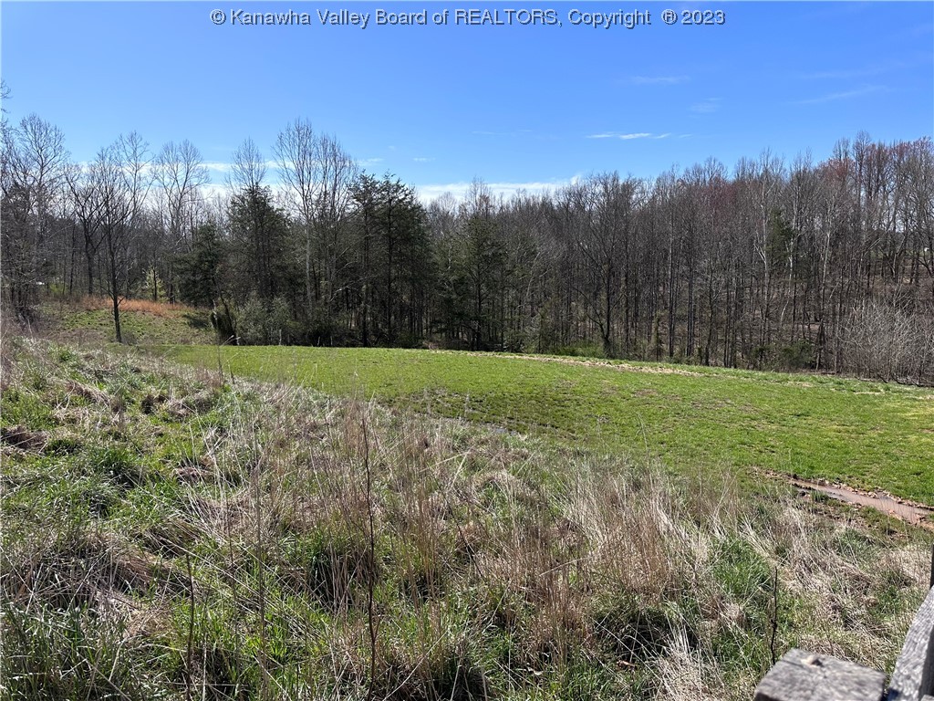 457 Inez Road Ravenswood, WV 26164 - Photo 6 of 38 Gallery Image 6