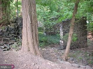 4971 River Road New Hope, PA 18938 - Photo 2 of 6