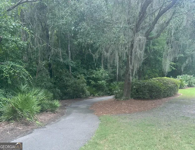 a view of a forest with trees in the background