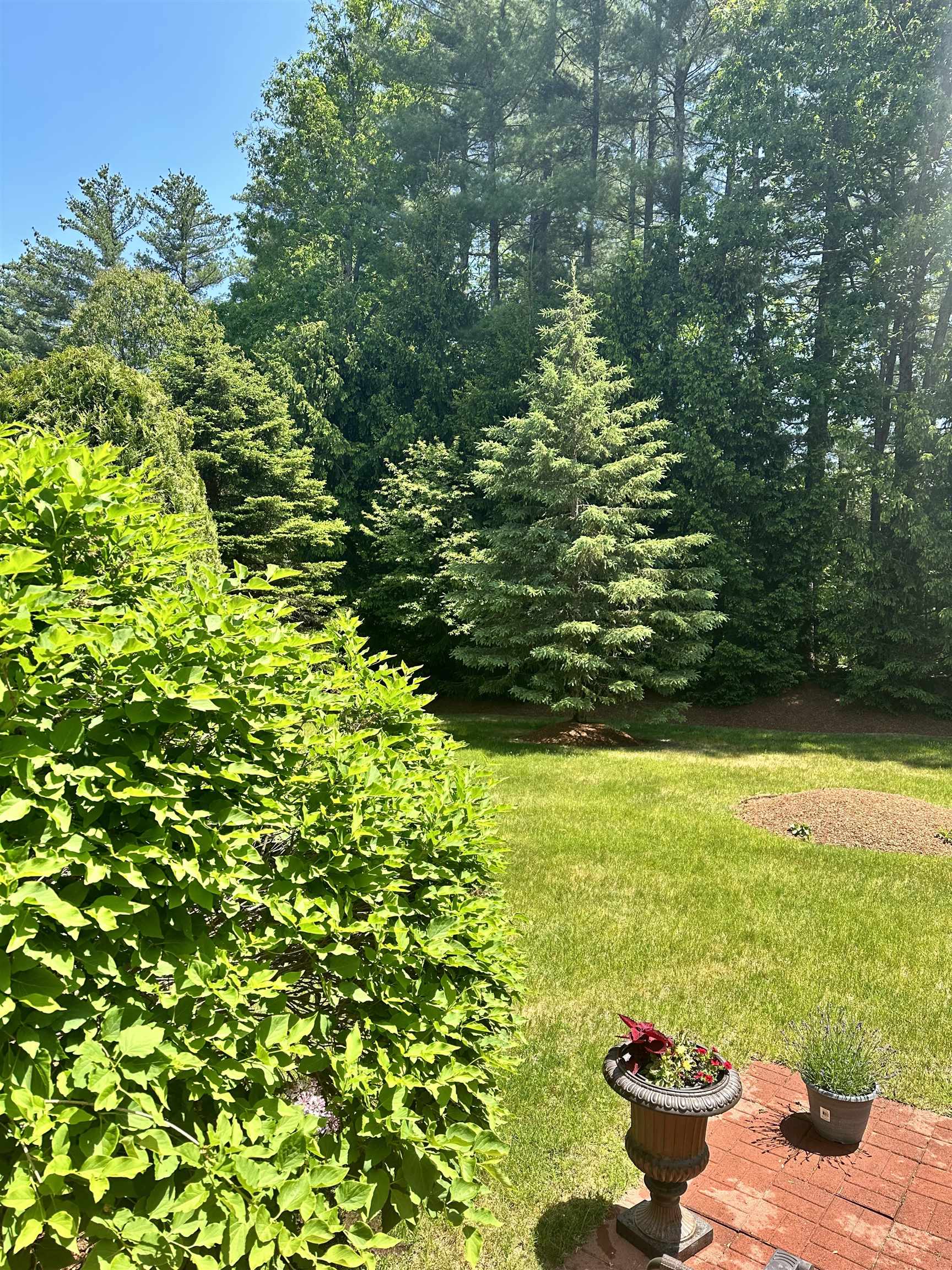 7 Mulberry Lane Amherst, NH 03031 - Photo 5 of 27