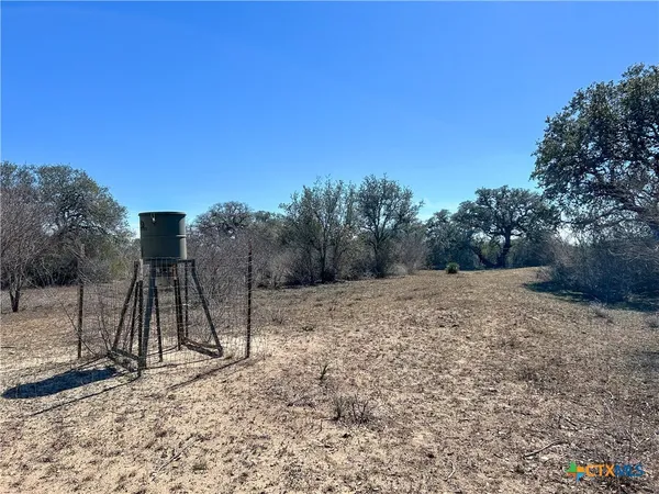 a view of a field with trees in background