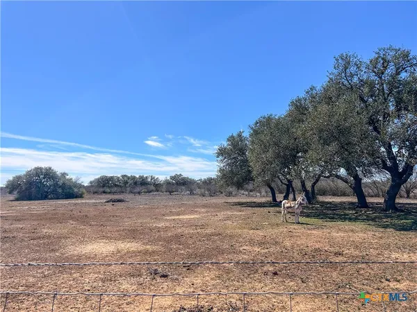 a view of a dry yard with trees in the background