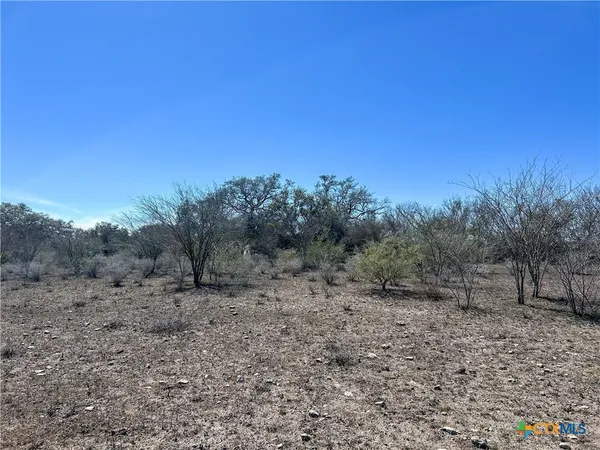 a view of dirt yard with a tree