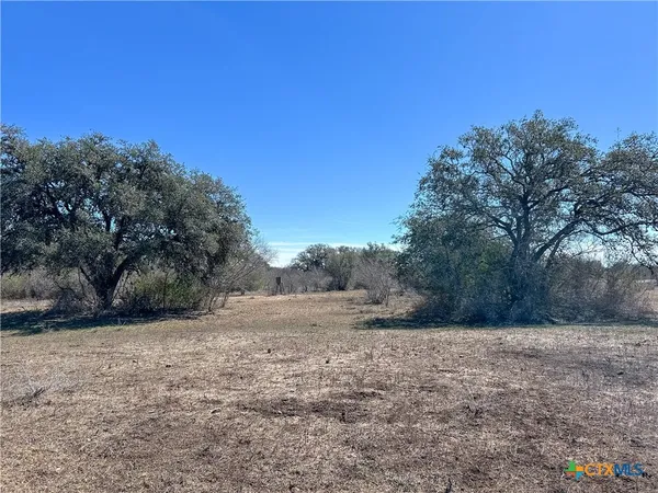 a view of a dry yard with trees in the background