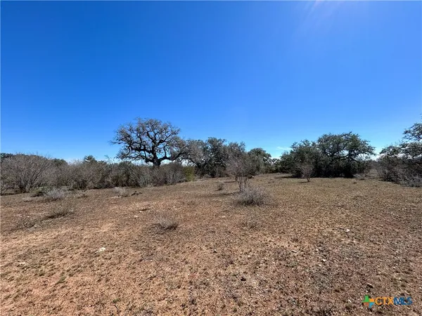 a view of dirt field with trees in background