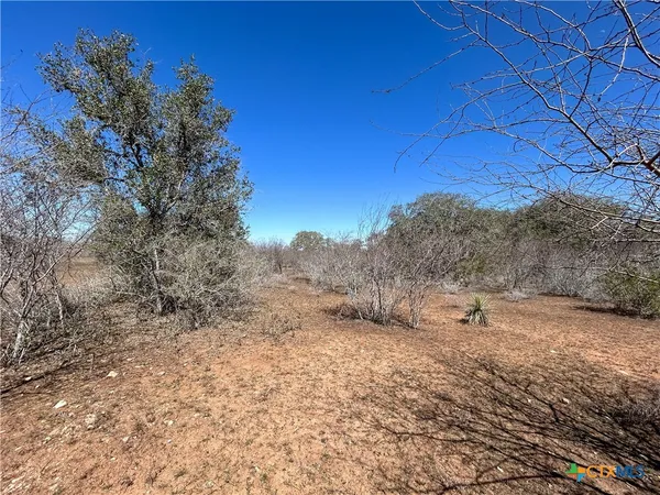a view of a dry yard