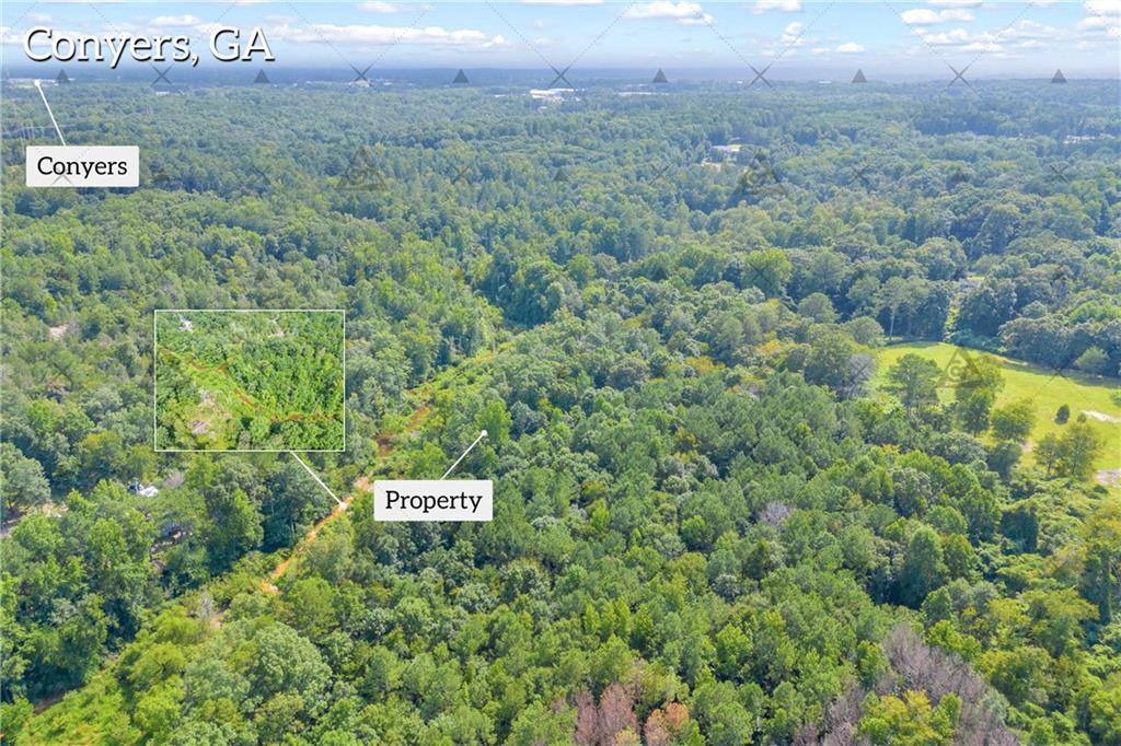 2265 Rockbridge Road Northwest Conyers, GA 30012 - Photo 11 of 28