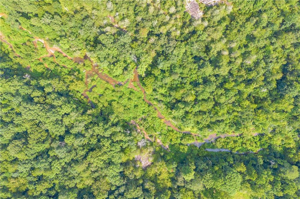 2265 Rockbridge Road Northwest Conyers, GA 30012 - Photo 17 of 28