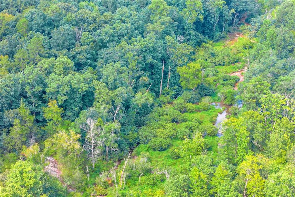 2265 Rockbridge Road Northwest Conyers, GA 30012 - Photo 18 of 28