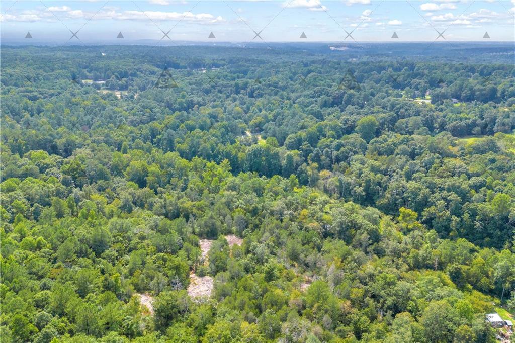 2265 Rockbridge Road Northwest Conyers, GA 30012 - Photo 7 of 28