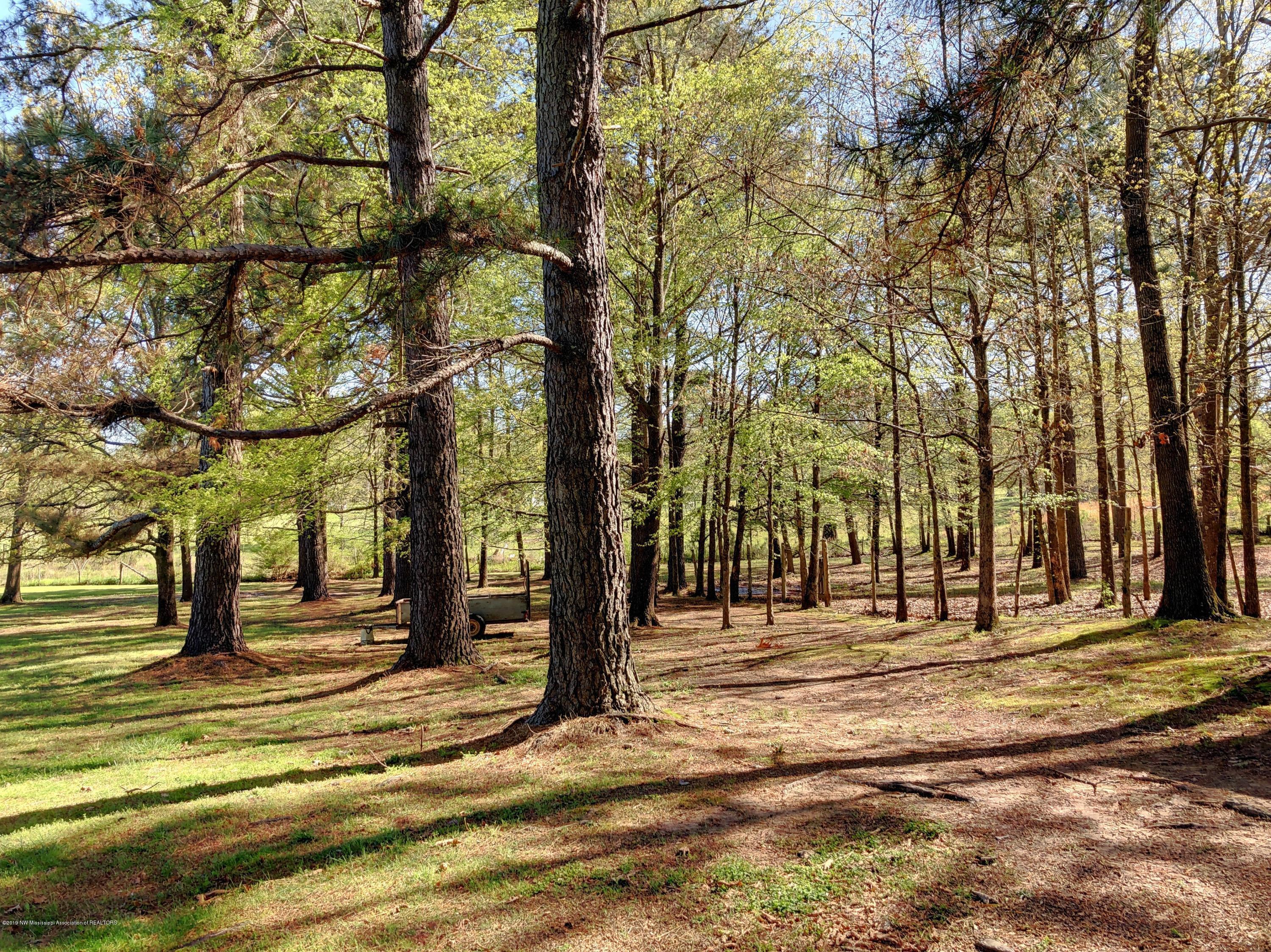 7449 Meridian Road Michigan City, MS 38647 - Photo 10 of 24 002