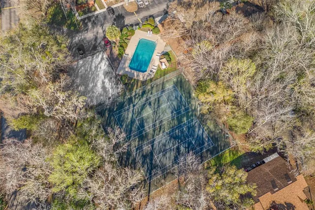 a close up of a plant in a garden