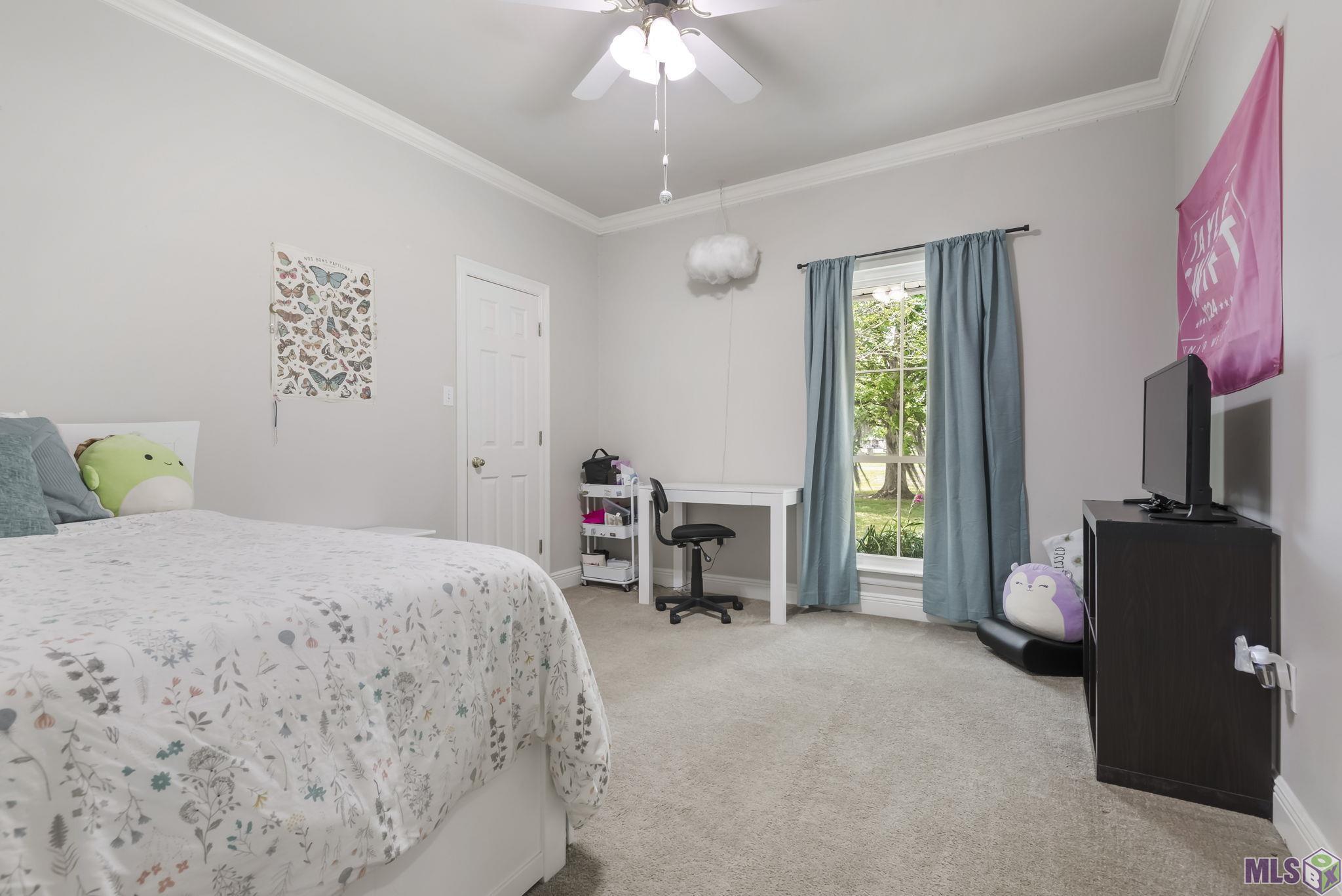 16510 Jay Road Prairieville, LA 70769 - Photo 8 of 13 Gallery Image 8