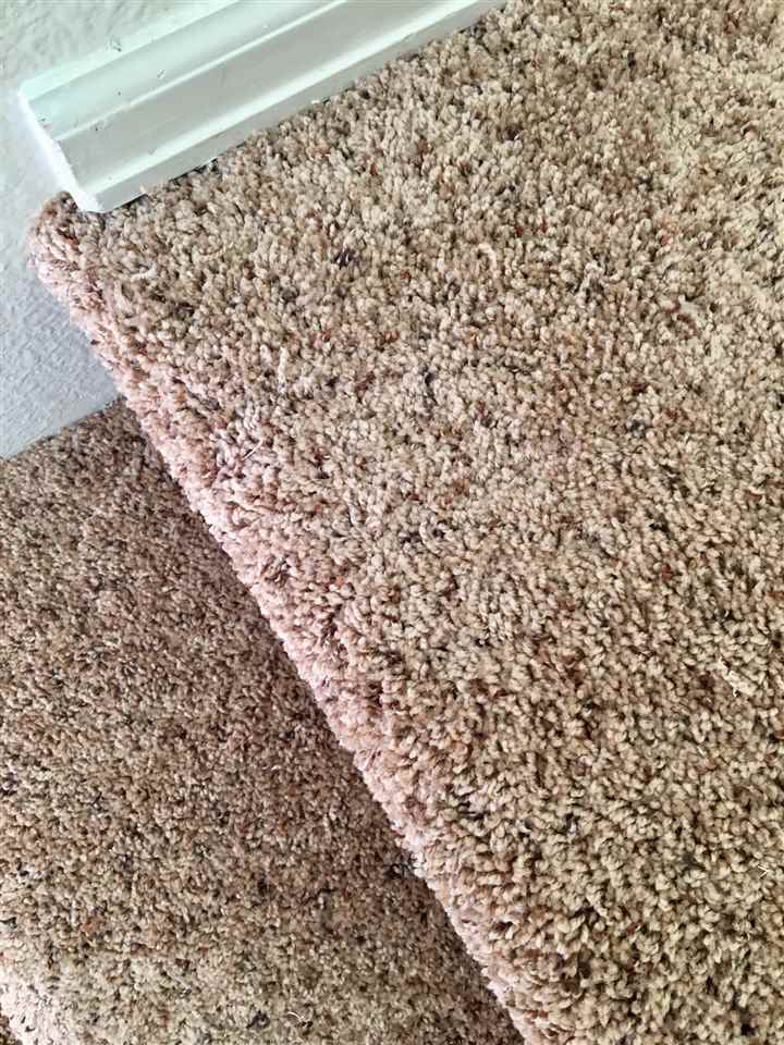 424 Rouse Avenue De Beque, CO 81630 - Photo 9 of 23 Gallery Image 9