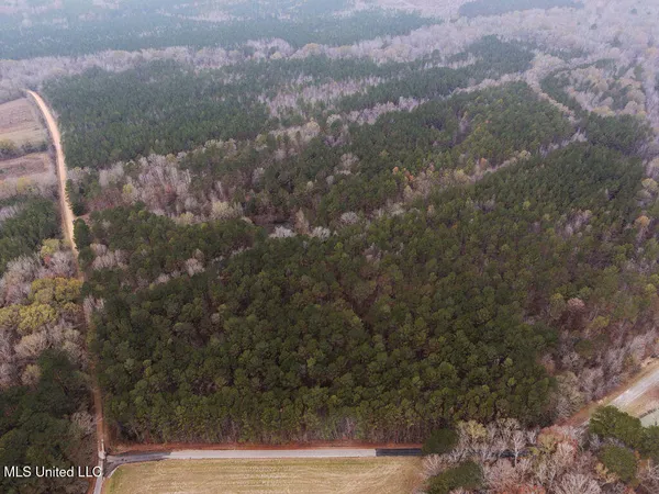 $243,000 | Bright Road, Ackerman, MS 39735