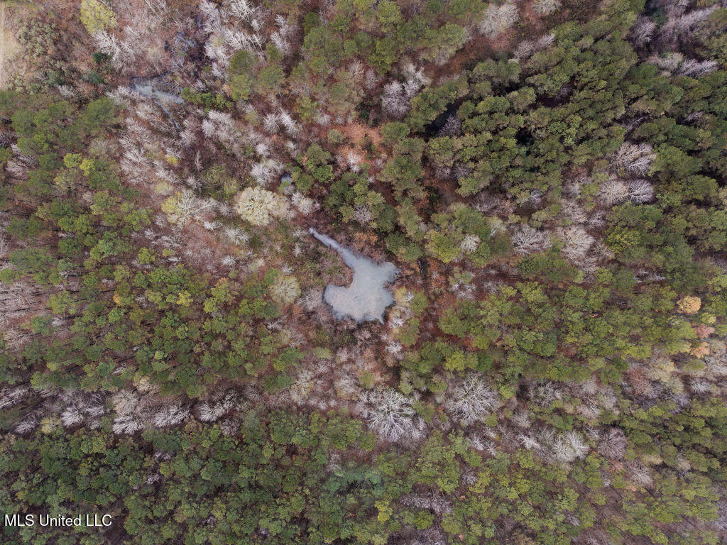 Bright Road Ackerman, MS 39735 - Photo 2 of 9 dji_fly_20251209_093434_805_176529503256
